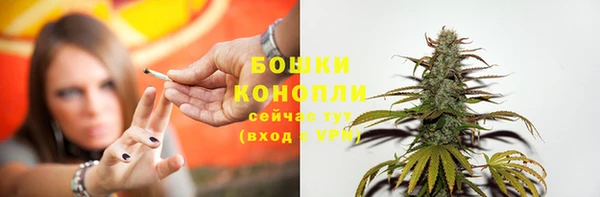 спиды Медвежьегорск