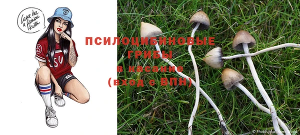 спиды Медвежьегорск