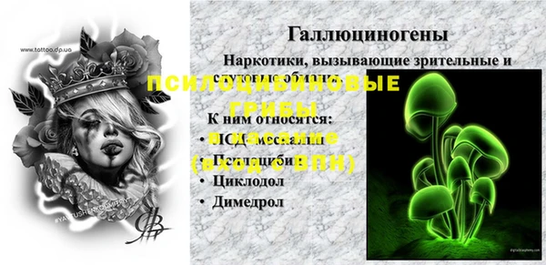 СК Мегион