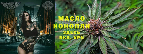 гидропоника Медногорск