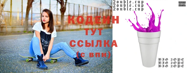 индика Пыть-Ях